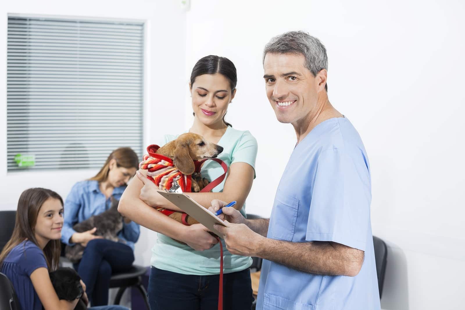 dog-and-owner-in-vet-waiting-room Male nurse in blue scrubs writes on clipboard while woman holds dachshund in waiting room.