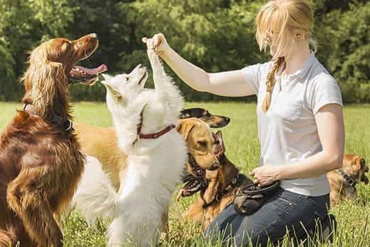 female-dog-trainer-outdoors-SW