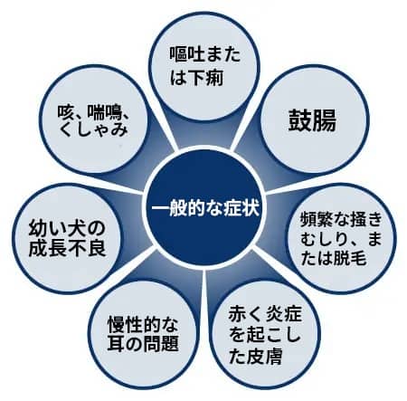 食物アレルギーと食物不耐性の一般的な兆候