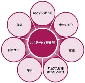 犬の消化器疾患に見られる一般的な徴候