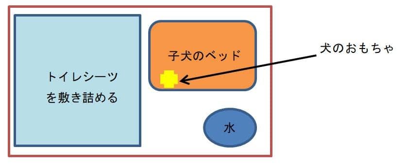 子犬トイレトレーニング