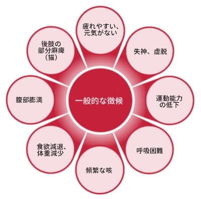 Common signs of heart disease