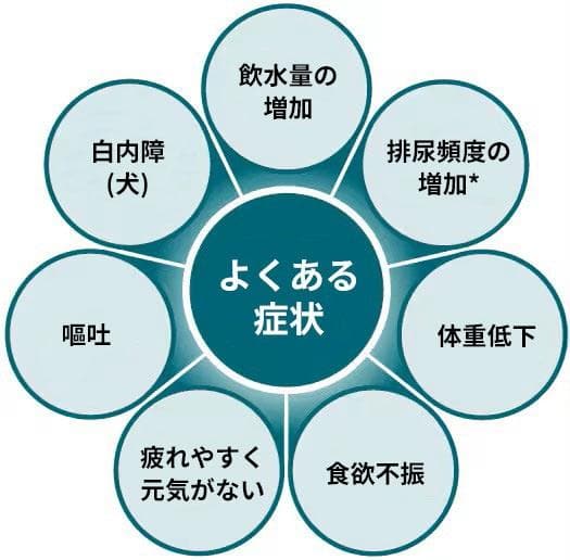 糖尿病の一般的な兆候