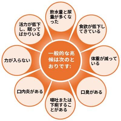 犬の腎臓病の一般的な兆候