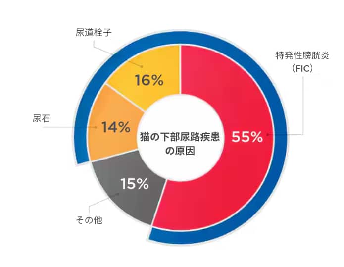 猫下部尿路疾患の原因を示すチャート