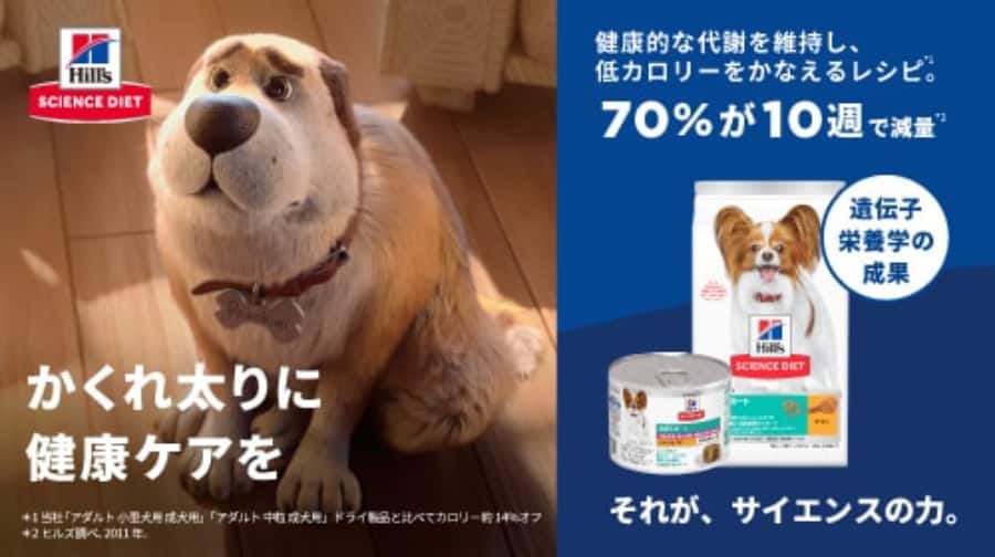 かくれ太りに健康ケアを