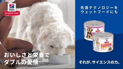 おいしさと栄養でダブルの愛情