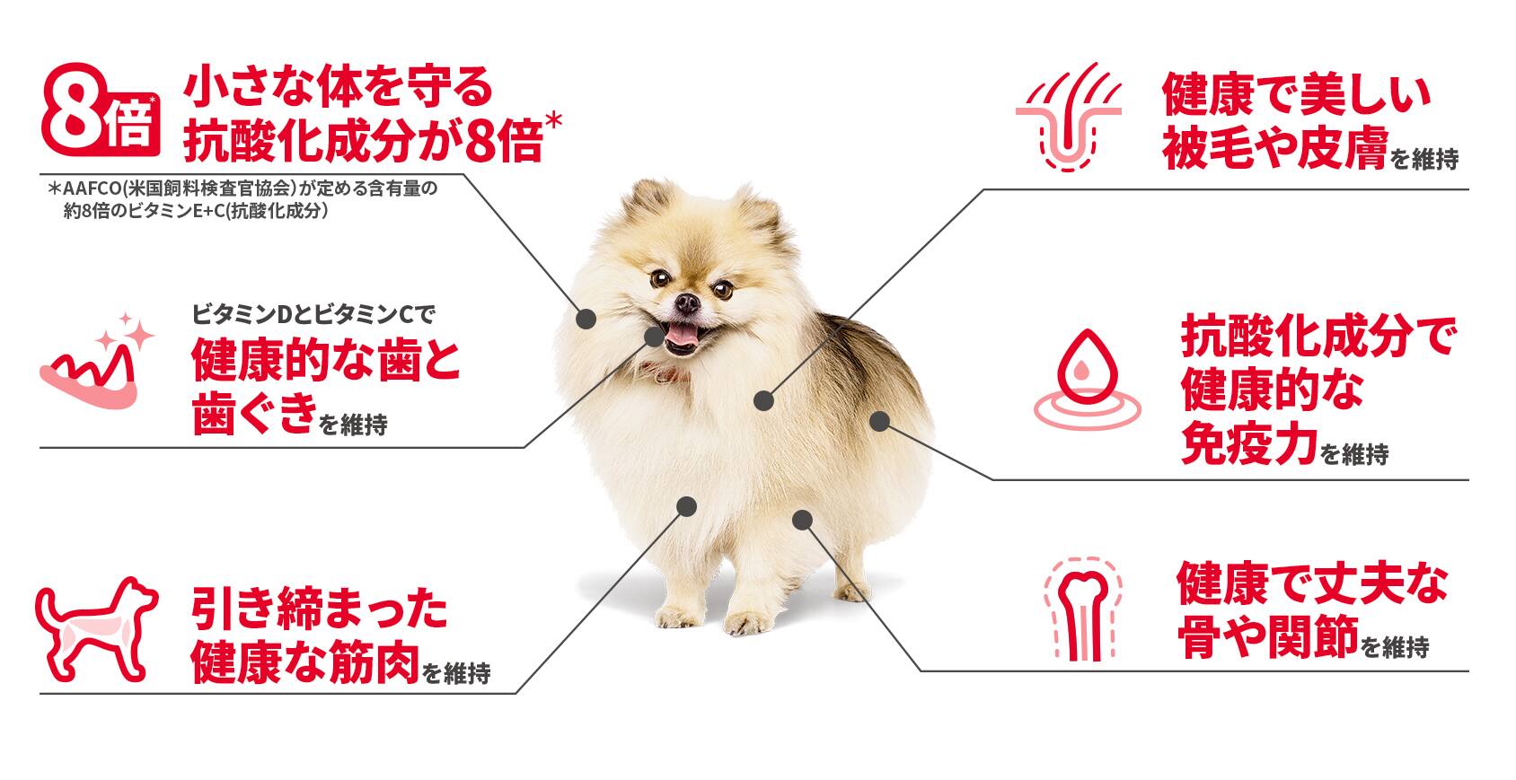 サイエンス・ダイエット　人気のヒミツ