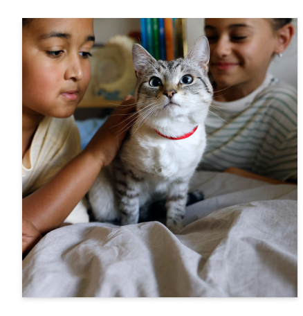 子どもたちと一緒にいる猫