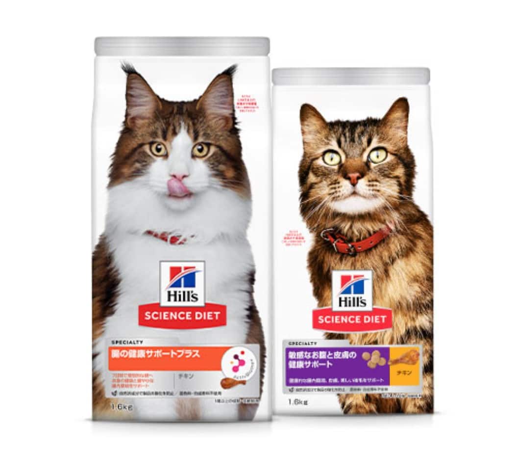 健康的な消化ケア用キャットフード