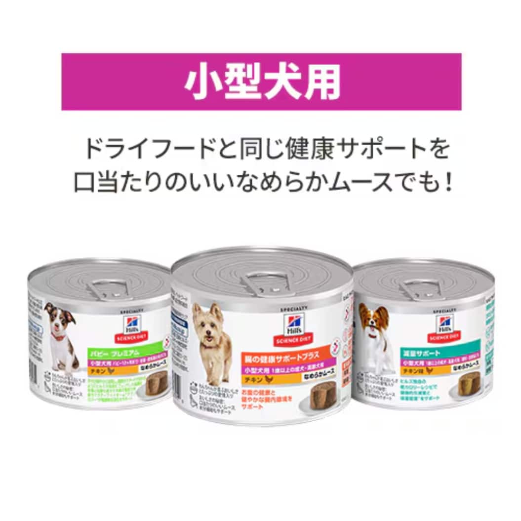 ウェットフードスペシャルケア