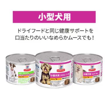 ウェットフード年齢