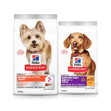 健康的な消化ケア用ドッグフード